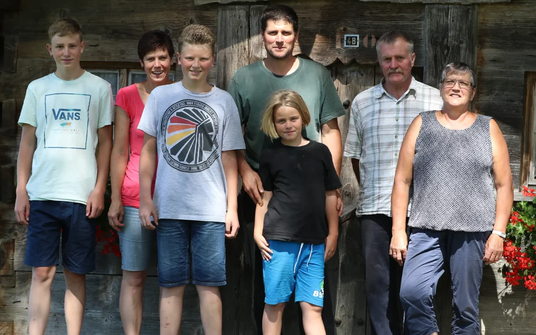 Wunderbare Red Holstein und ausgezeichnete «Toétchés»