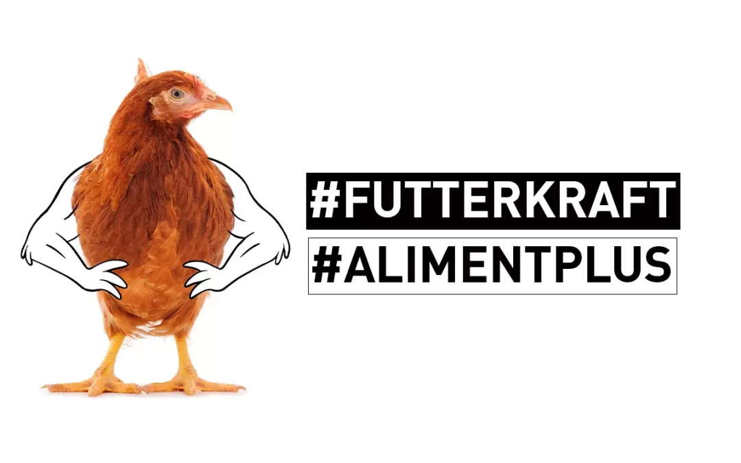 2021 Futterstruktur -Geflügel