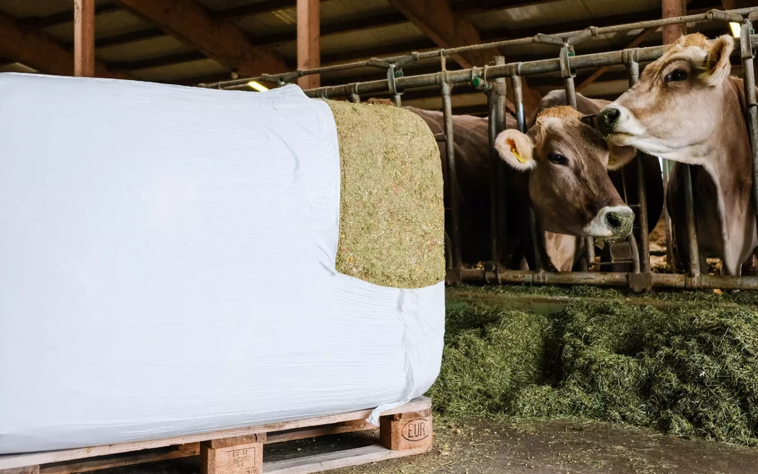 Rumimix - strukturreiches Ergänzungsfutter praktisch verpackt