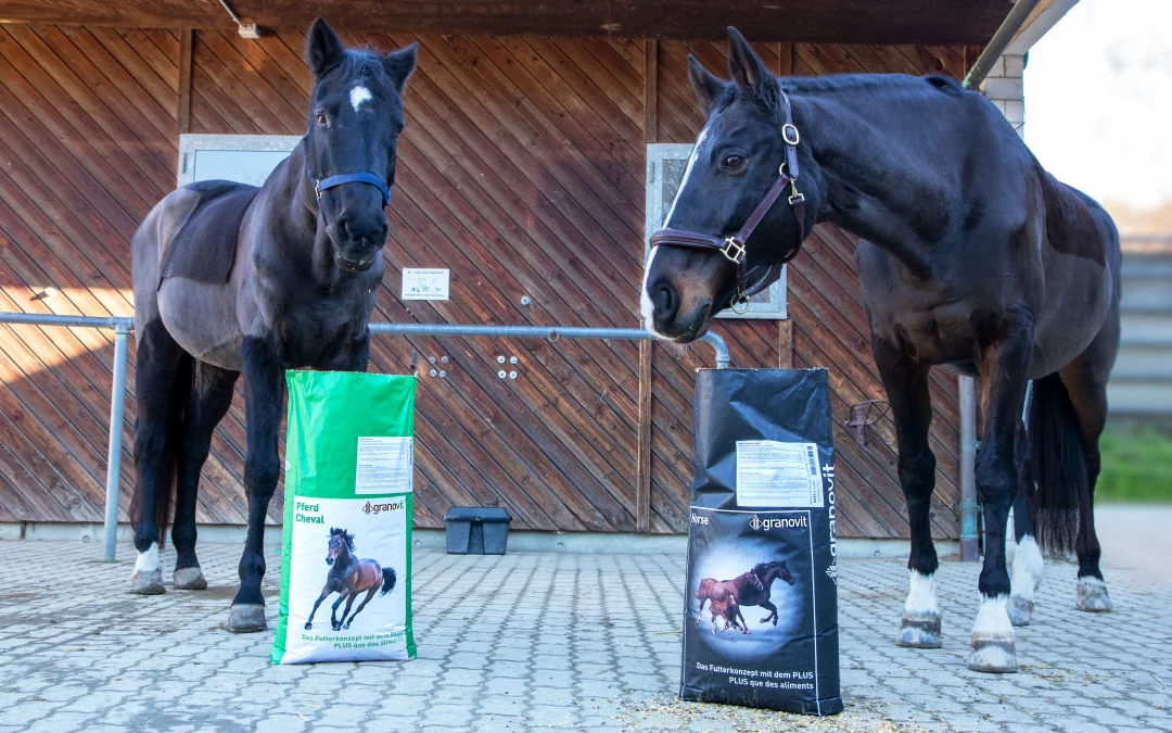 Les aliments pour chevaux font peau neuve