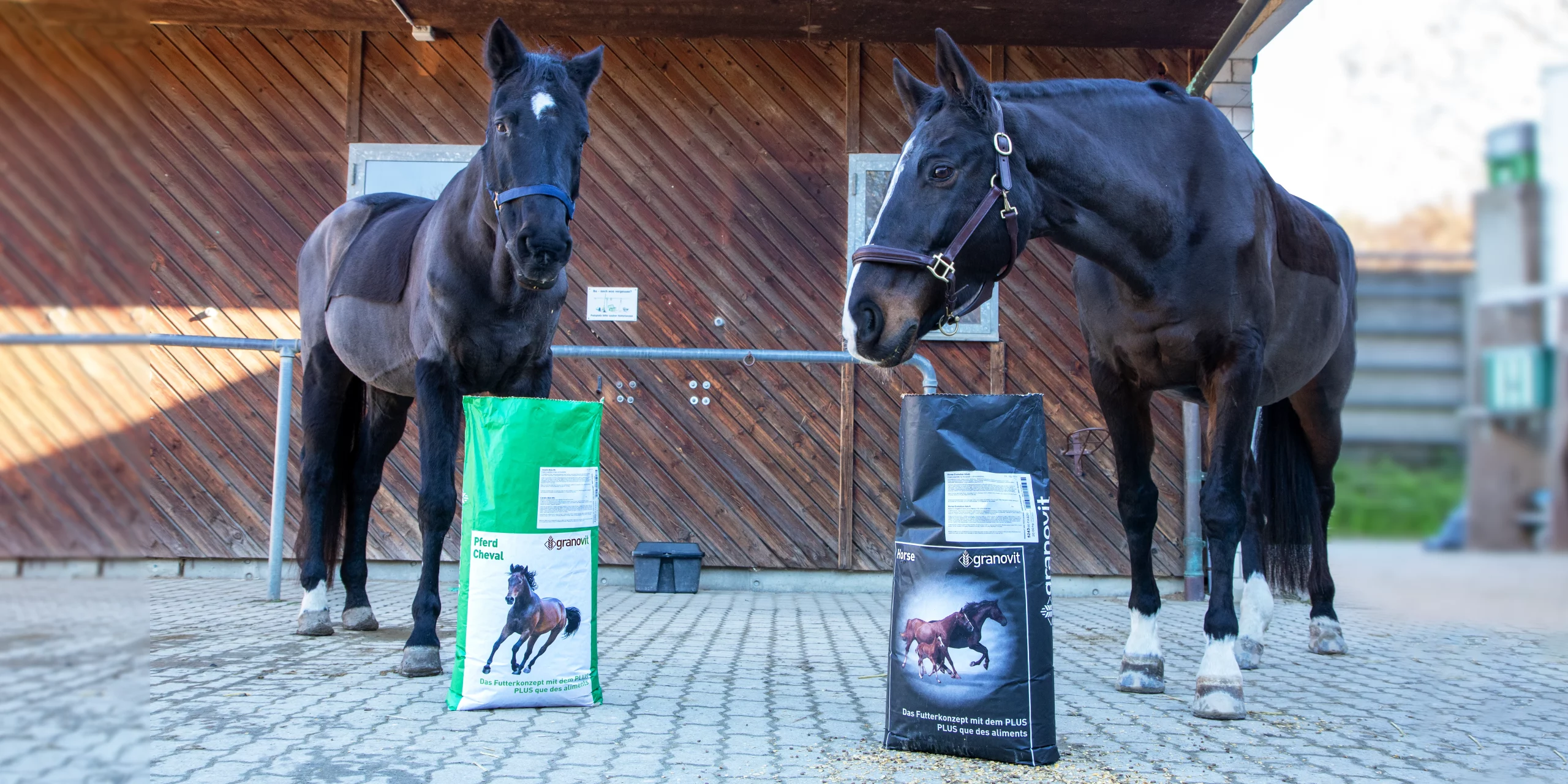 Les aliments pour chevaux font peau neuve