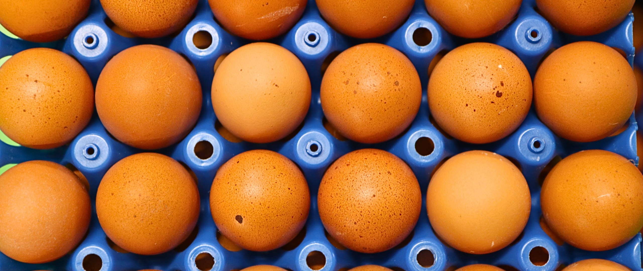 Schweizer Eierbranche schlägt neuen Weg ein
