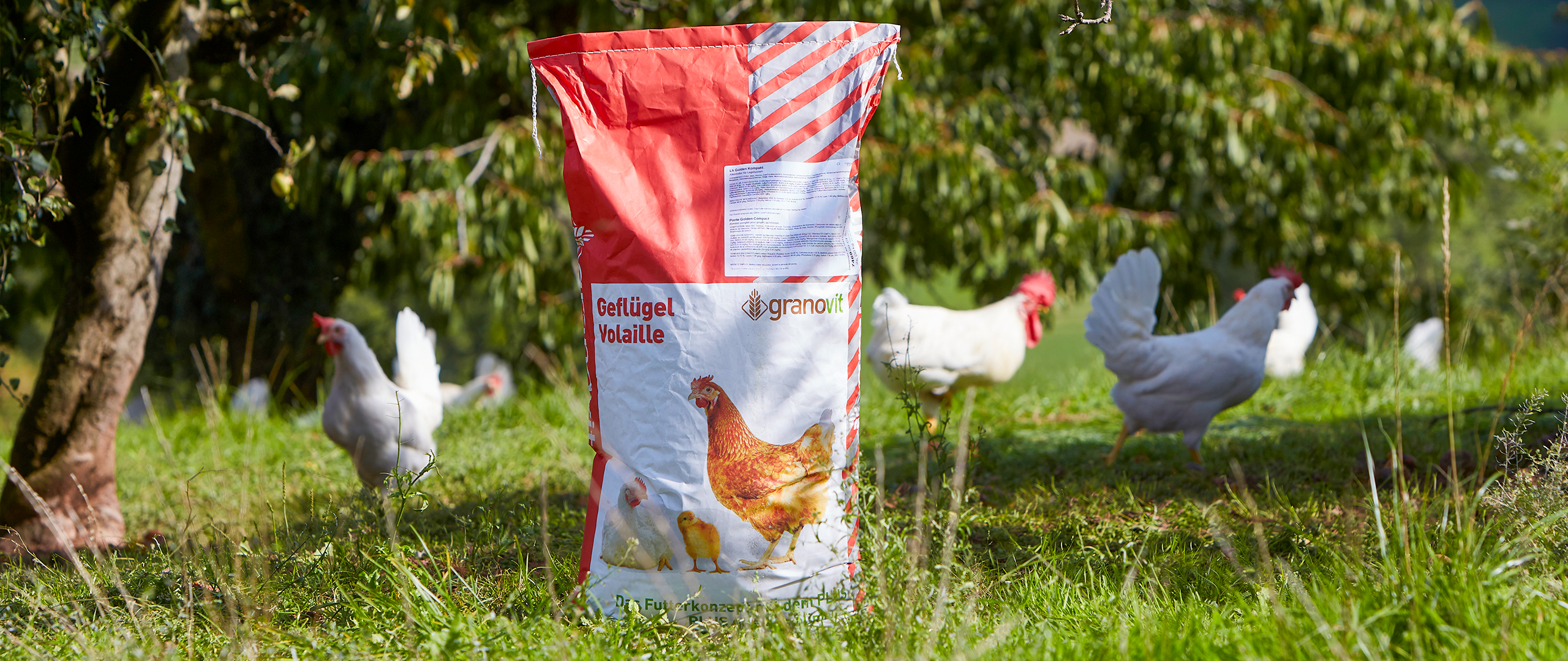 Offre spéciale aliments volaille