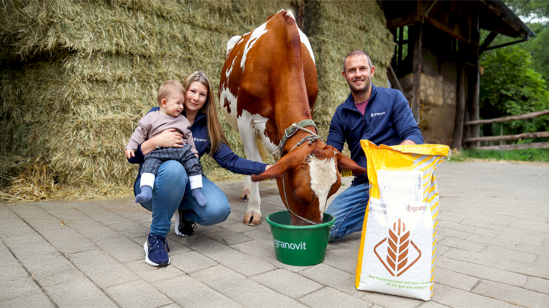 Sonderangebot Mineralstoff Wiederkäuer