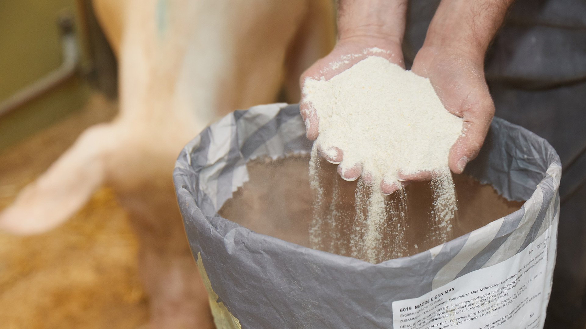 Sonderangebot Mineralstoff Schweine